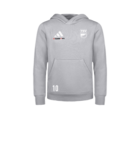 adidas Entrada 26 Hoody Kids Grau