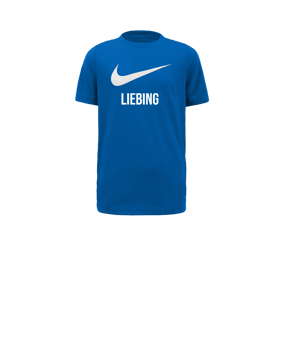 Nike Park 20 Swoosh T-Shirt Kids Blau Weiss F463