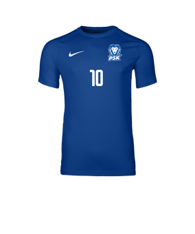 Nike Park VIII Trikot Blau F463