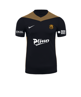 Nike Park Derby IV Trikot Schwarz Gold F011