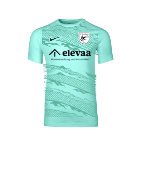 Nike Park VIII Trikot Türkis F354