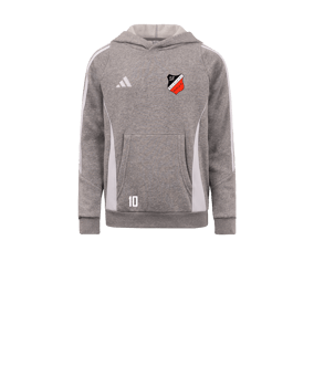 adidas Tiro 24 Hoody Kids Grau Weiss