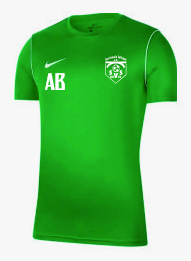 Nike Park 20 Training Shirt Grün F302