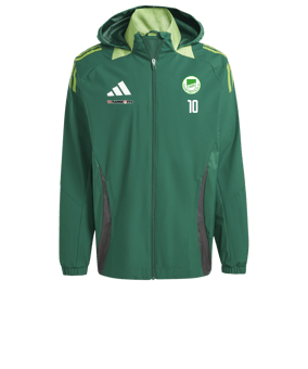 adidas Tiro 24 Competition Allwetterjacke Grün