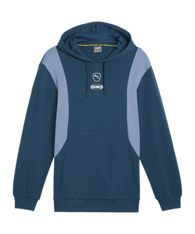 PUMA KING Top Hoody Grün F05 - gruen