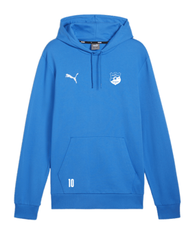 PUMA teamGOAL Casuals Hoody Blau F02