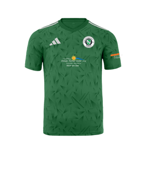 adidas SpVgg Ansbach 09 Trikot Heim 2025/2026 Grün