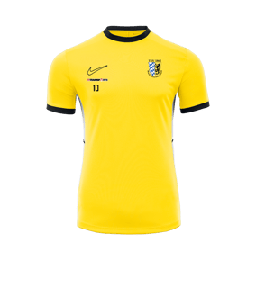 Nike Academy 25 Trainingsshirt Gelb F719