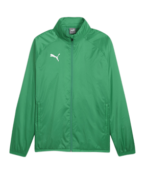 PUMA teamGOAL Allwetterjacke Grün Weiss F05 - gruen