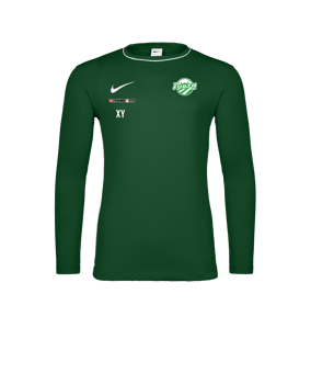 Nike Park 26 Longsleeve Grün F302