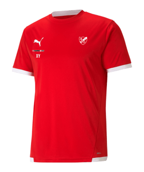 PUMA teamLIGA Trikot Rot F01