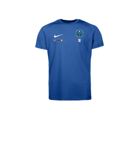 Nike Park VIII Maillot Enfants Bleu C463