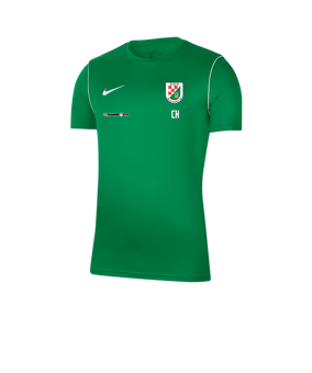 Nike Park 20 Training Shirt Grün F302
