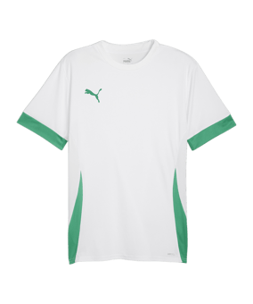 PUMA teamGOAL Matchday Trikot Weiss Grün F15 - weiss