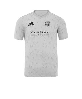 adidas Team Icon 25 Trikot Weiß