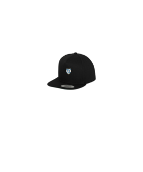 Merch 5 Panel Classic Snapback Cap Black Black