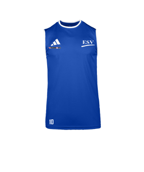 adidas Entrada 26 Trikot Blau