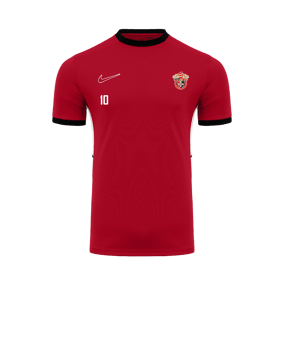 Nike Academy 25 Trainingsshirt Rot F657