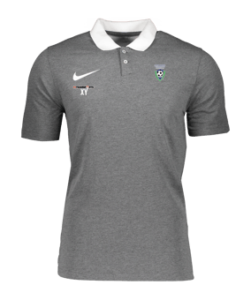 Nike Park 20 Poloshirt Grau Weiss F071
