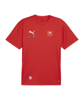 PUMA teamGOAL Trikot Rot F01
