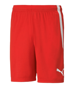 PUMA teamLiga Short Rot F01 - rot
