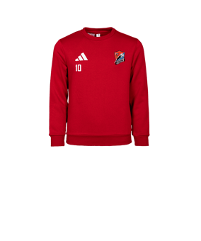 adidas Entrada 26 Sweatshirt Enfants Rouge 