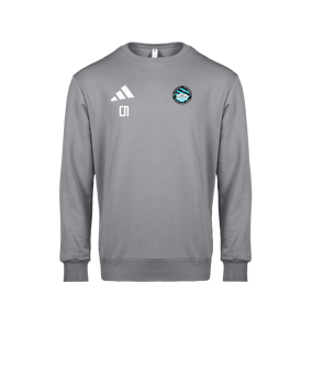 adidas Entrada 26 Sweatshirt Grau