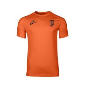 Nike Park VIII Trikot Orange F819