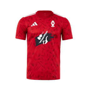 adidas Team Icon 25 Trikot Rot