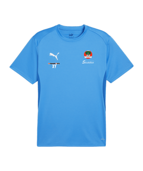 PUMA teamGOAL Trikot Blau F02