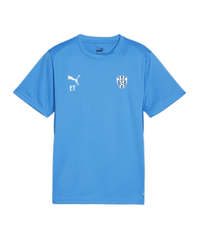 PUMA teamGOAL Trikot Kids Blau F02