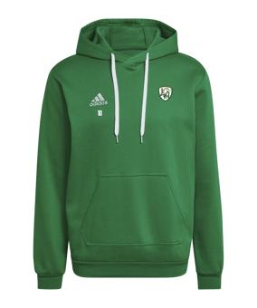Sweat à capuche adidas Entrada 22 vert 