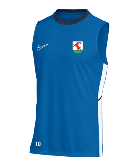 Nike Academy 25 Tanktop Blau F463