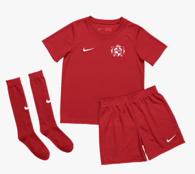 Nike Park 20 Kit Kids Rot F657