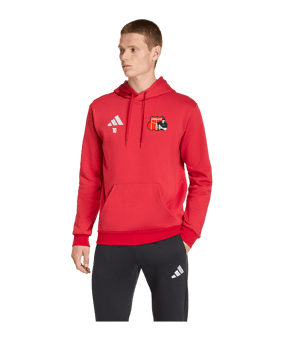 adidas Entrada 26 Sweatshirt à capuche Rouge 