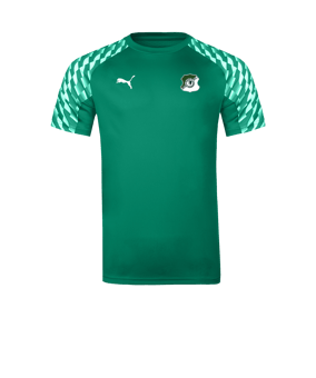 PUMA teamLIGA26 Trikot Grün F05