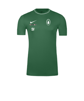 Nike Park 26 Trainingsshirt Grün F302