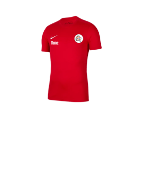 Nike Park VII Trikot kurzarm Kids Rot F657