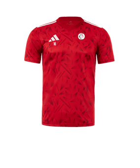 Maillot adidas équipe Icon 25 rouge 