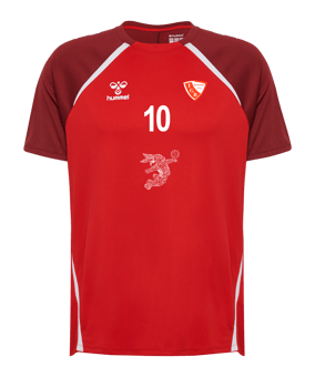 Hummel hmlLEAD 2.0 Trikot Rot F3713