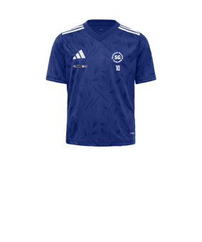 adidas Team Icon 25 Trikot Kids Blau