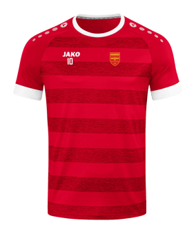 JAKO Celtic Melange KA Trikot Kids Rot F110