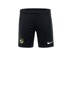 Nike Academy Pro 24 Short Schwarz Weiss F010