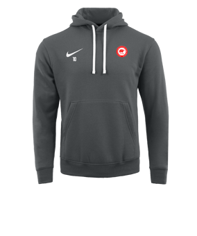 Sweat à capuche en polaire Nike Park 20 Gris blanc F071
