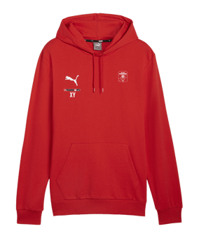 PUMA teamGOAL Casuals Hoody Rot F01