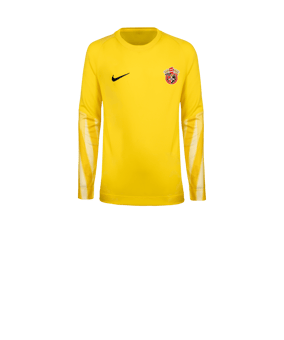 Nike Park V Trikot langarm Kids Gelb F718