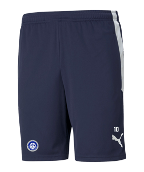PUMA teamLIGA Training Short Blau F06