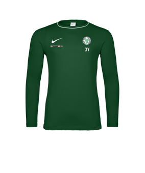Nike Park 26 Longsleeve Grün F302