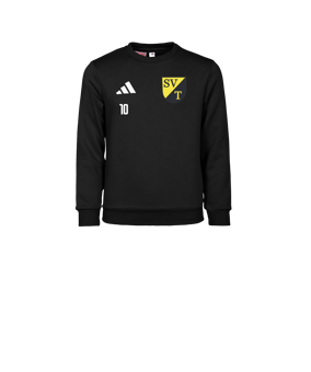 adidas Entrada 26 Sweatshirt Kids Schwarz