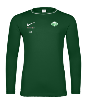 Nike Park 26 Sweatshirt Kids Grün F302